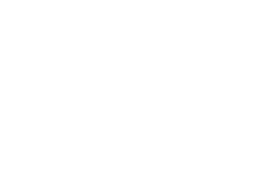 Hvidt ATP logo