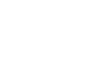 Hvid logo for Danmarks Naturfredningsforening