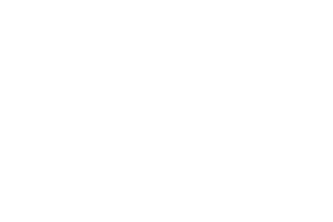 Hvidt Gorissen Federspiel logo