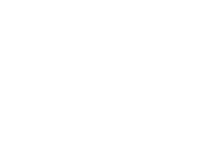 Hvidt MTHøjgaard logo