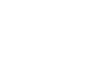 Hvidt PWC logo