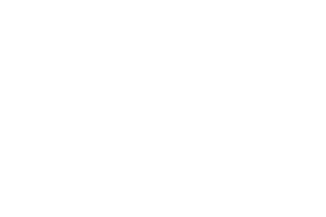 Hvidt TV2 logo