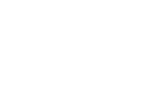 Hvidt Telia logo